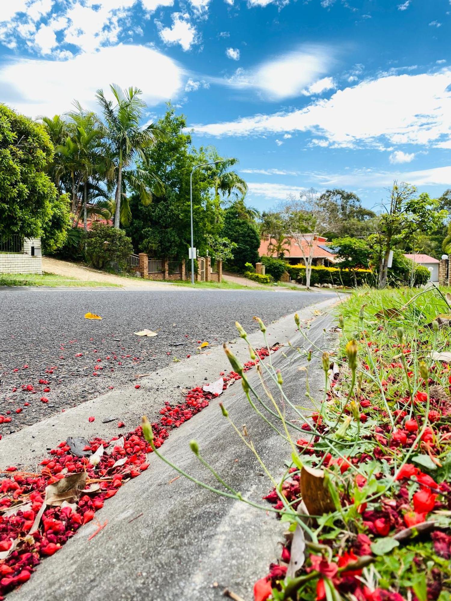 Garden Retreat Sunnybank Hills * Brisbane